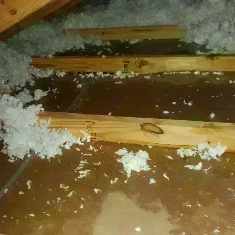 Attic Water Damage in Crow Wing County, MN